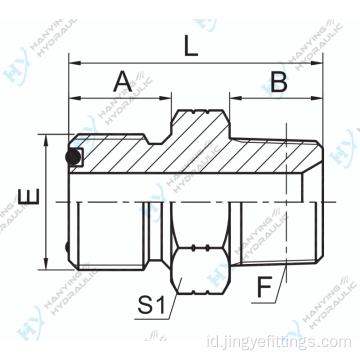 ORFS pria o-ring/npt jantan